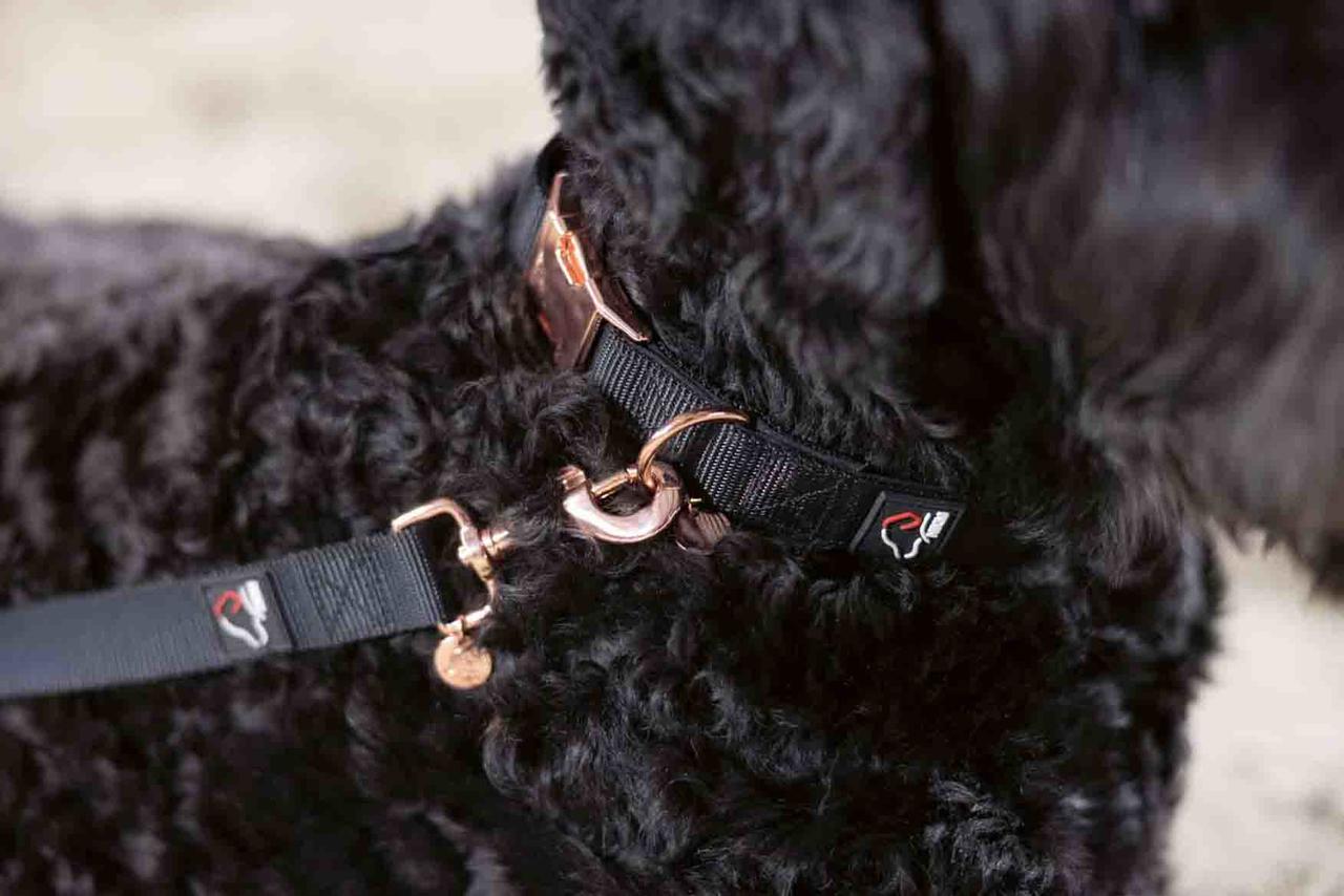 HKM Hundehalsband -Anam Cara- Nylon