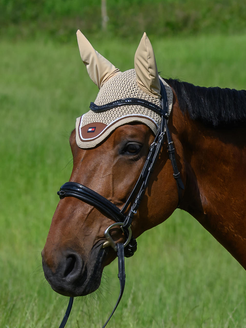 Tommy Hilfiger Princeton Fliegenhaube