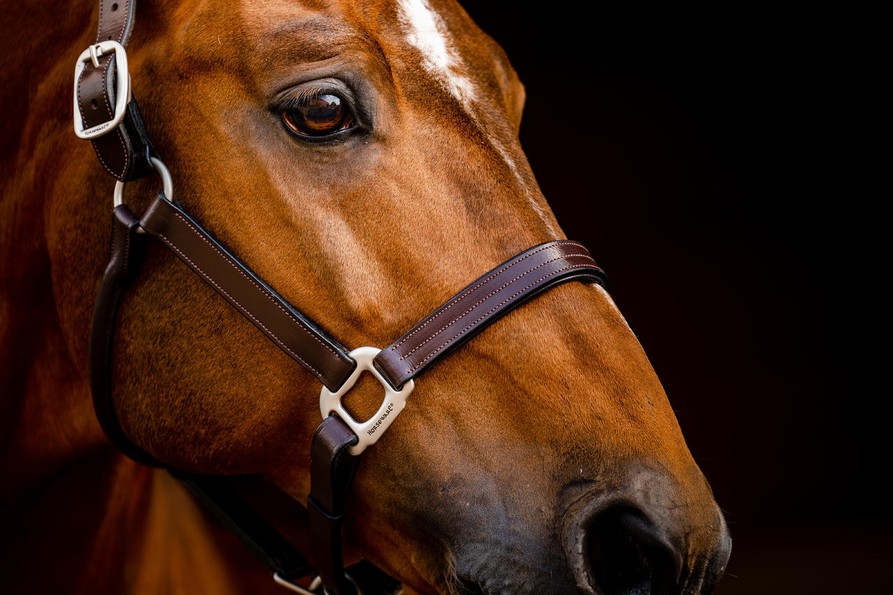 Horseware Signature Leather Headcollar