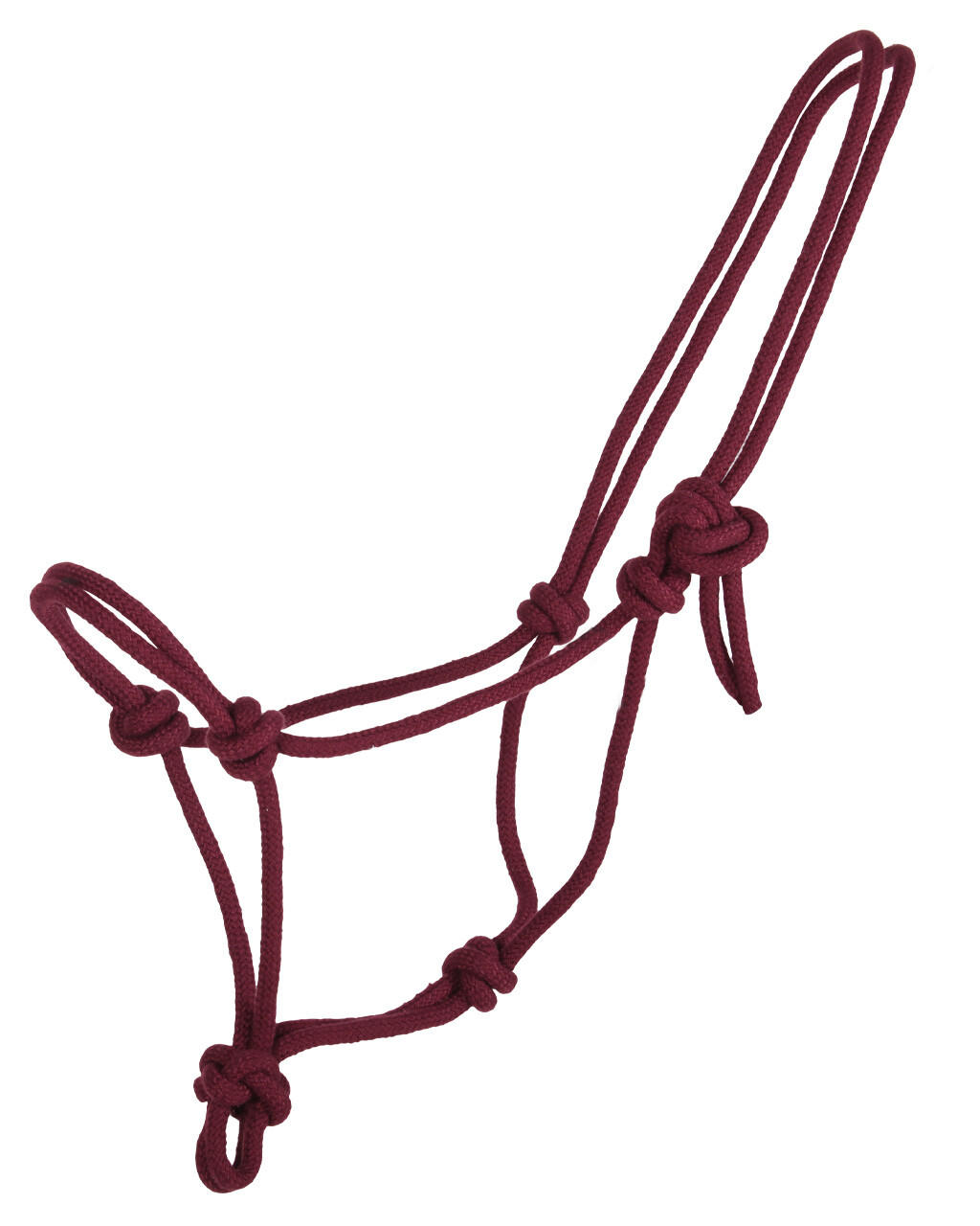 Q-Essentials Knotenhalfter Basic