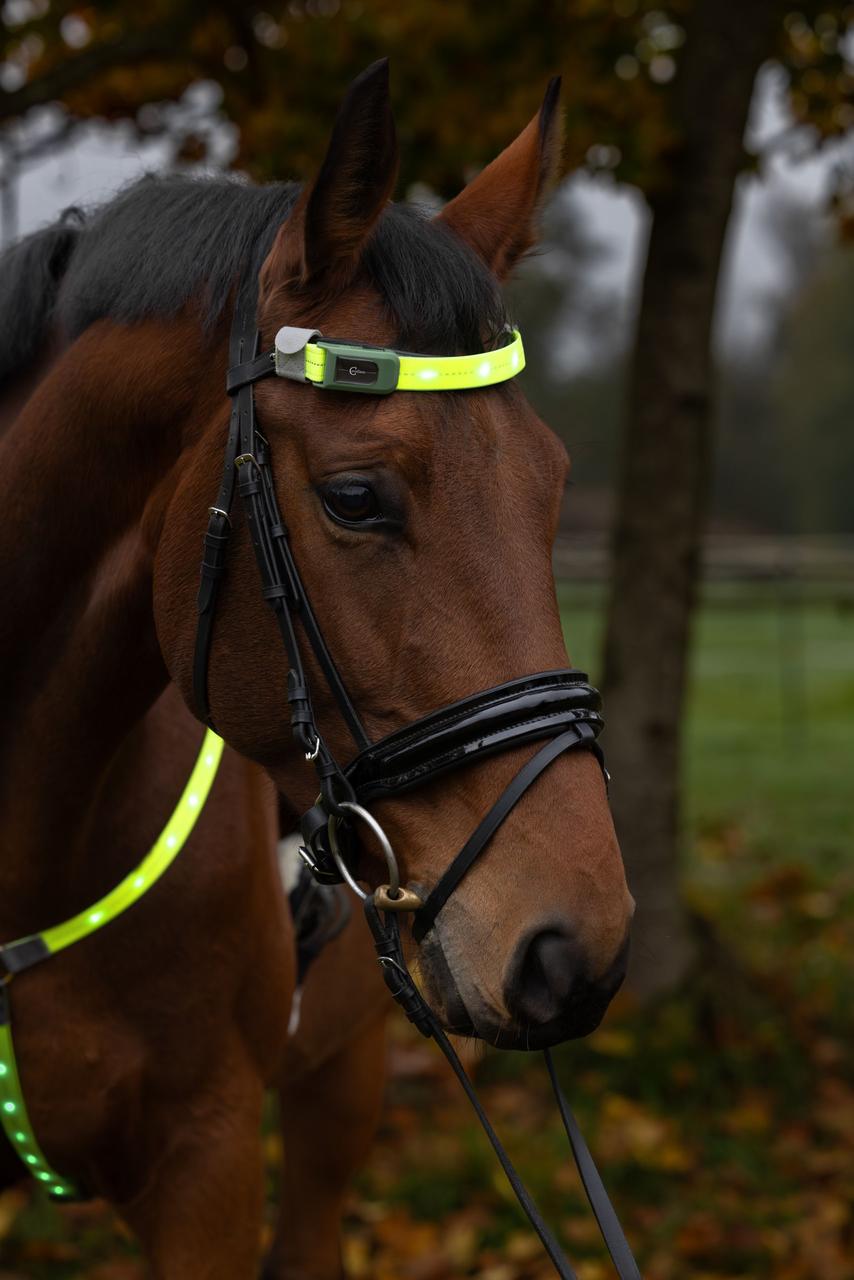 Covalliero Stirnriemen LED