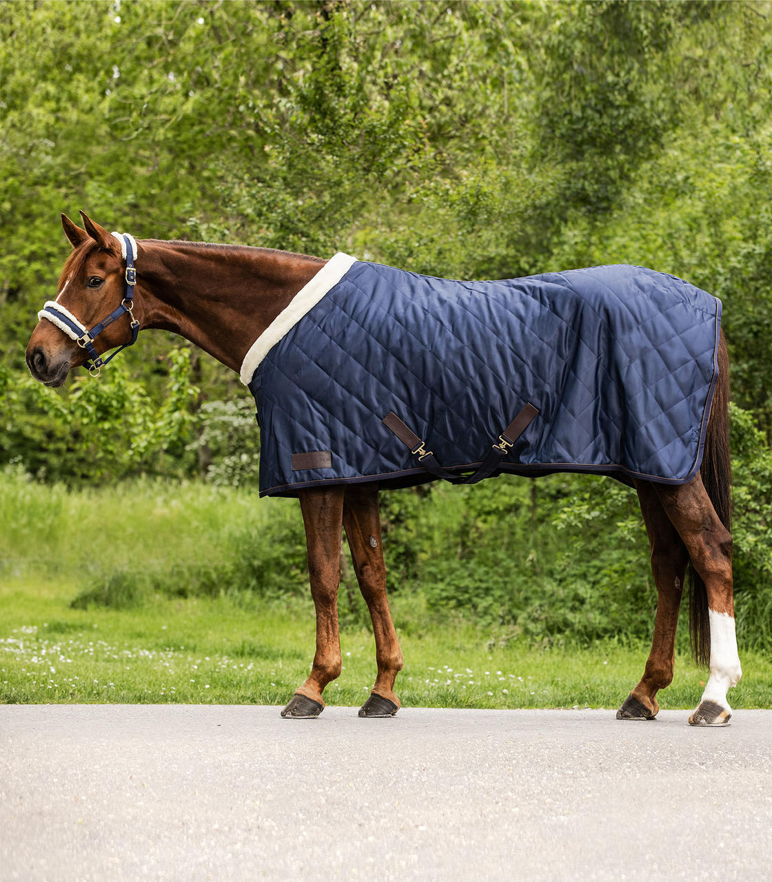 Waldhausen Transportdecke Exclusive 50g 155 cm nachtblau