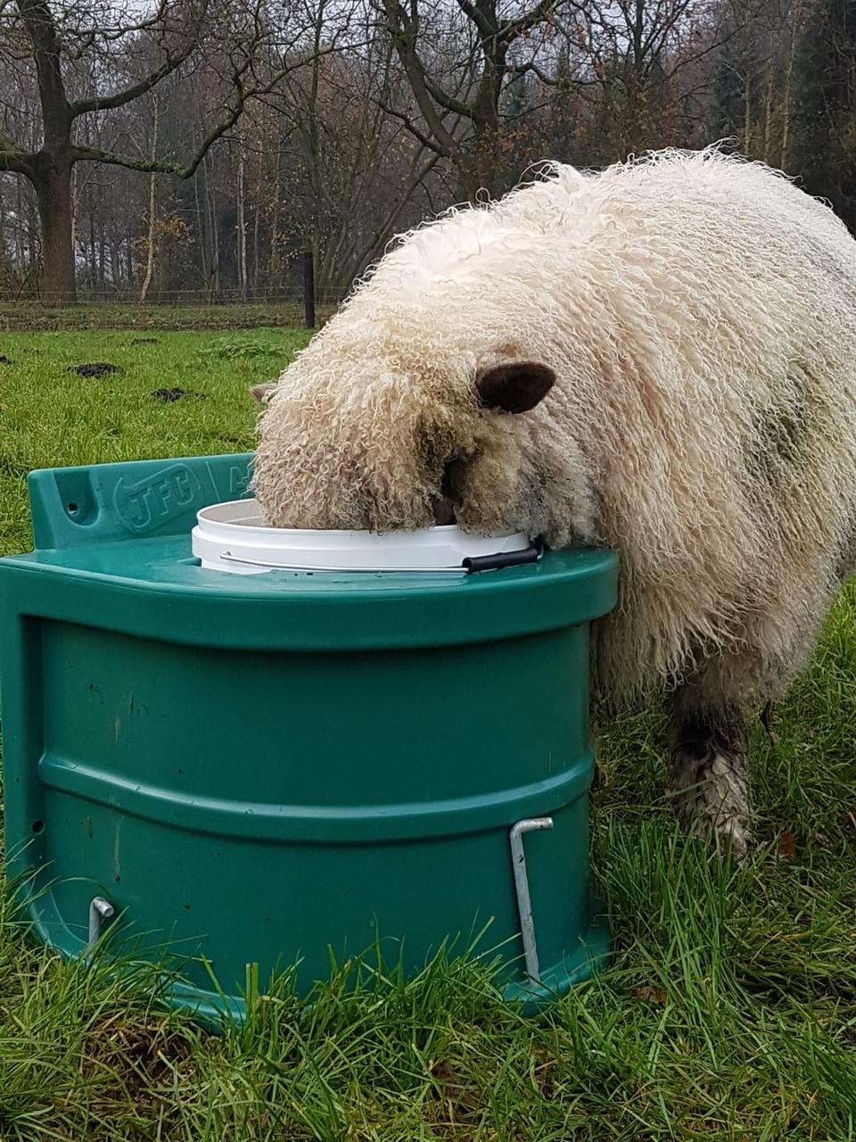 JFC Frostschutzeimer 20 Liter