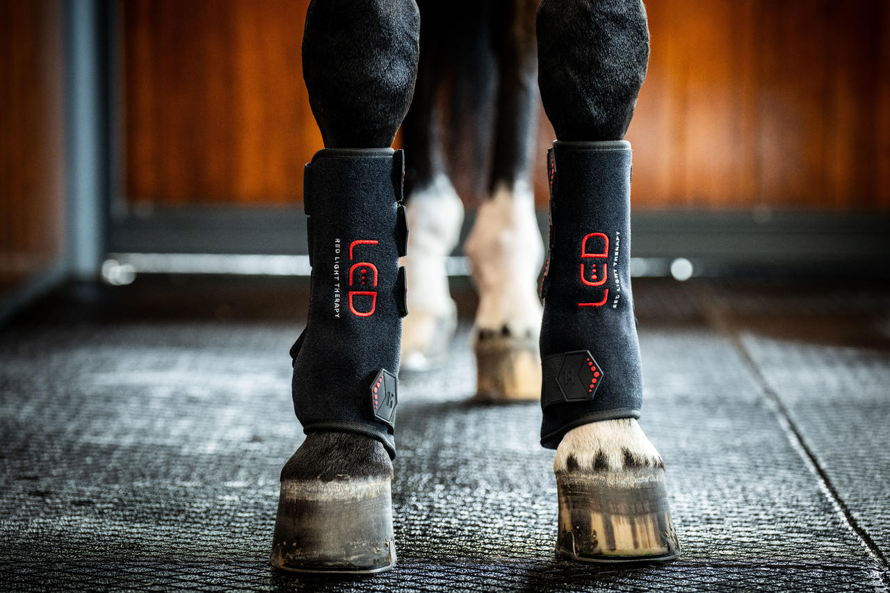 Horseware LED Red Light Therapy Leg Wrap Horseware LED Red Light Therapy Leg Wrap