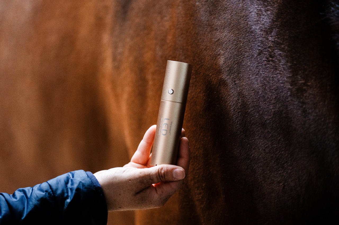 Horseware LED Red Light Therapy Wand