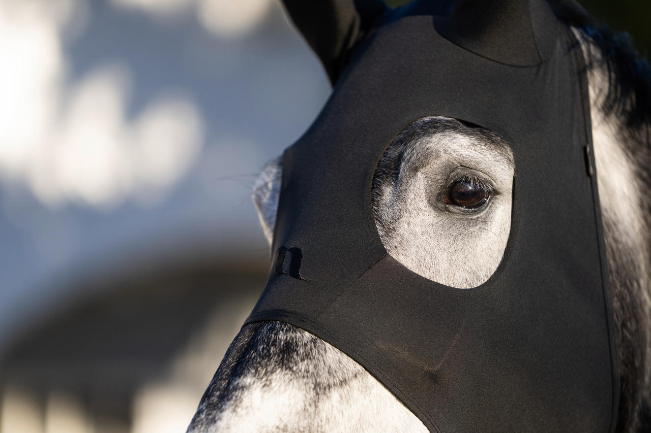 Back on Track "Spirit" Calming Maske mit Ohren