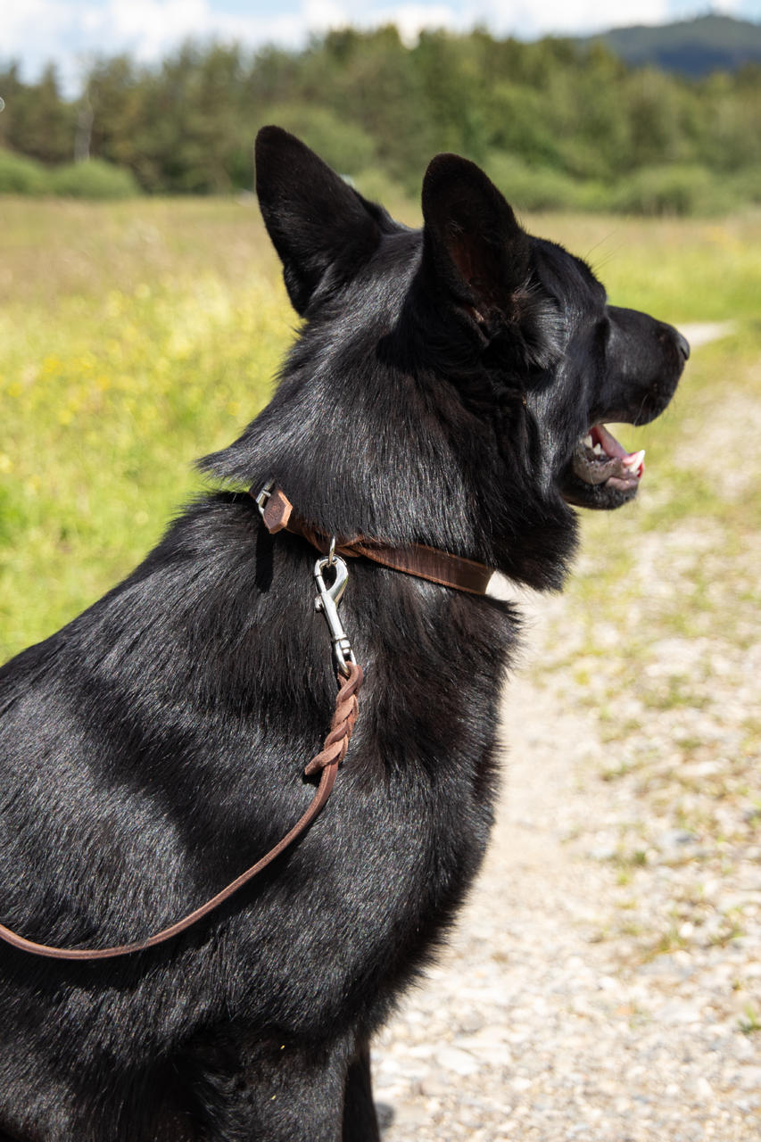 Halsband eingeflochten, vernickelt