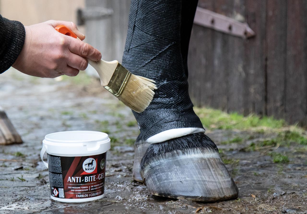 leovet Anti-Bite-Gel