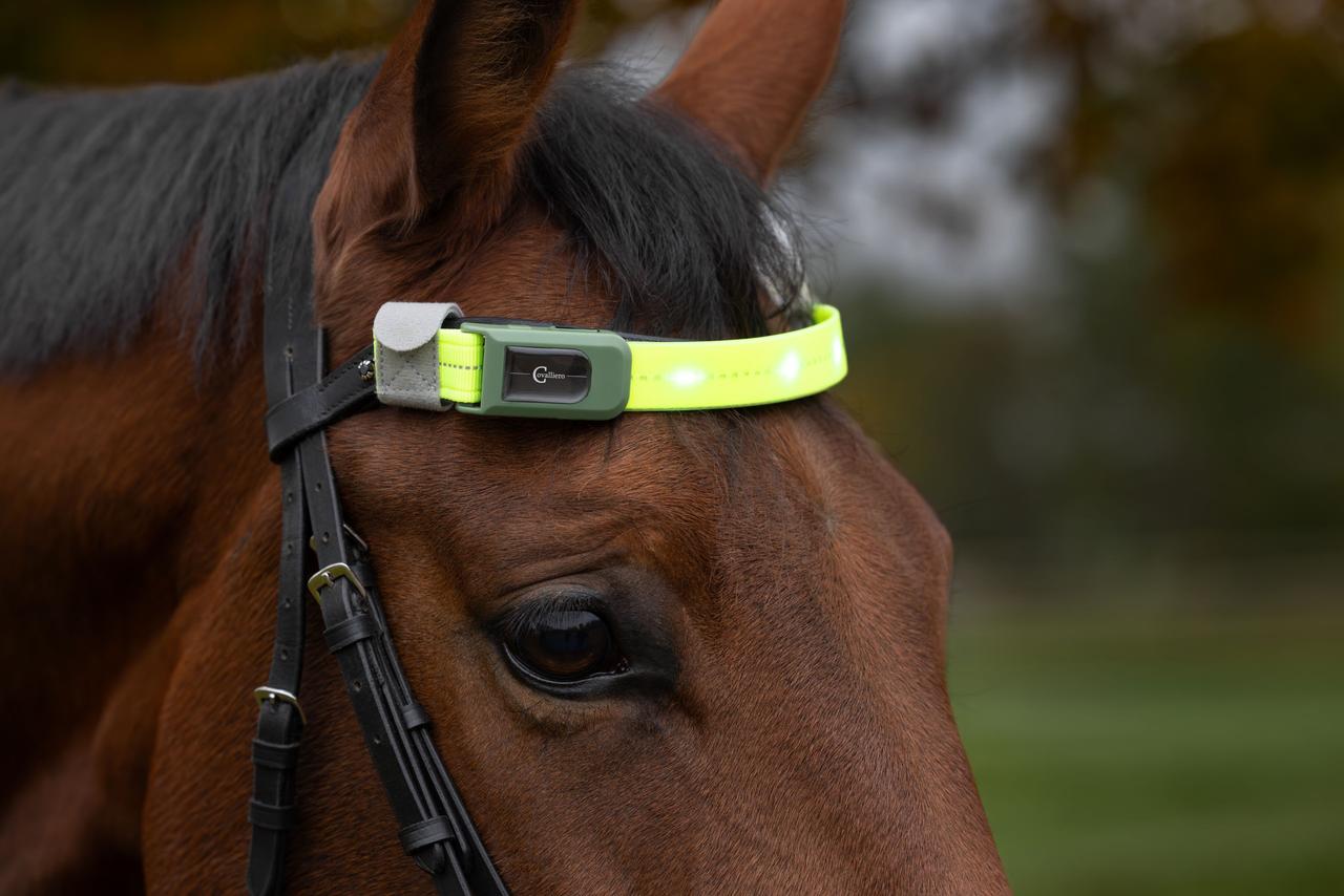 Covalliero Stirnriemen LED