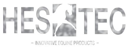 Logo_HESTEC
