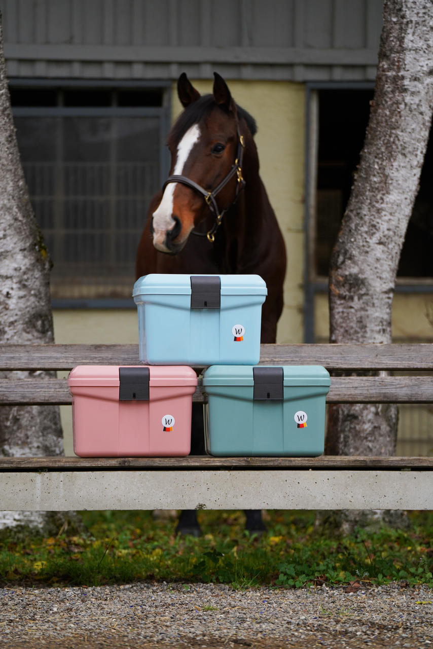 Waldhausen Putzbox ECO