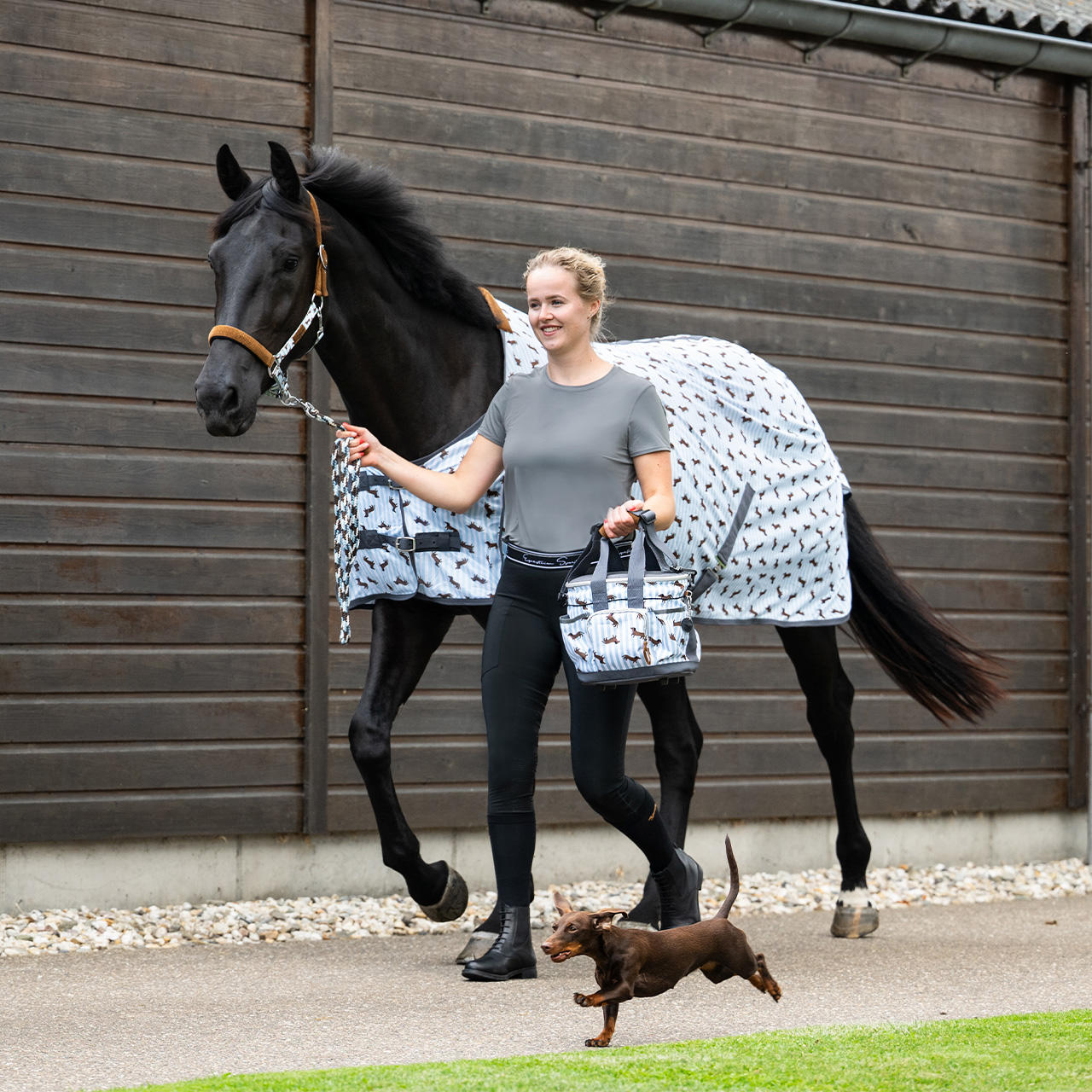 QHP Fliegendecke Stable Buddy