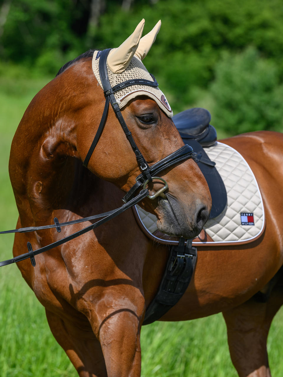 Tommy Hilfiger Princeton Fliegenhaube