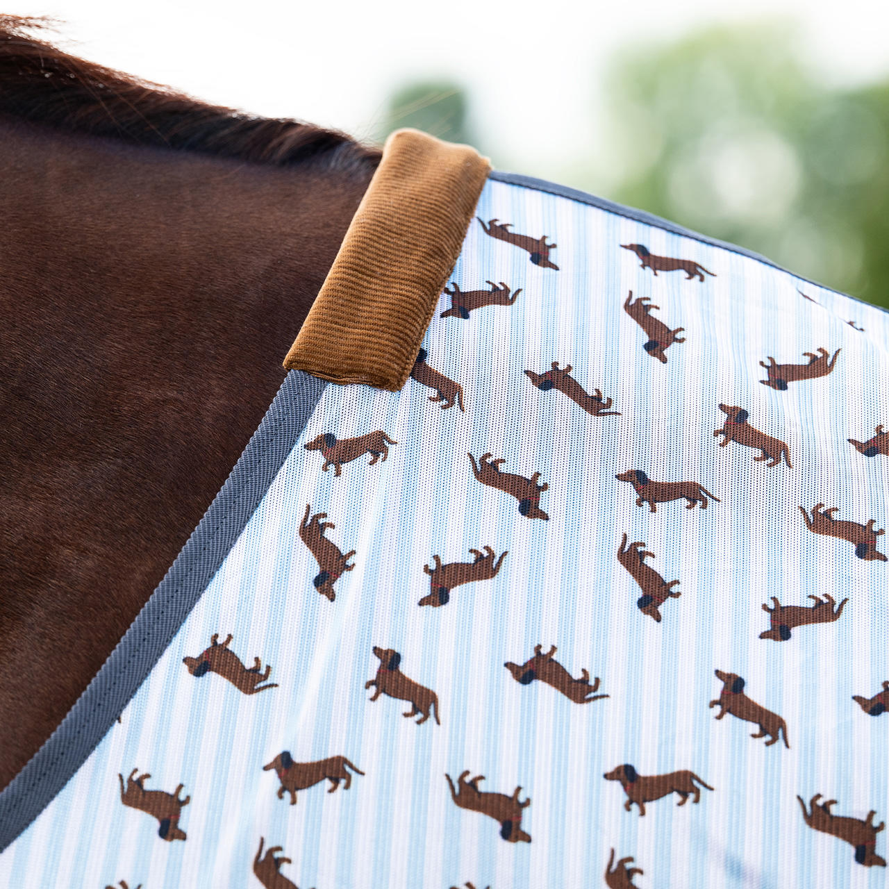 QHP Fliegendecke Stable Buddy