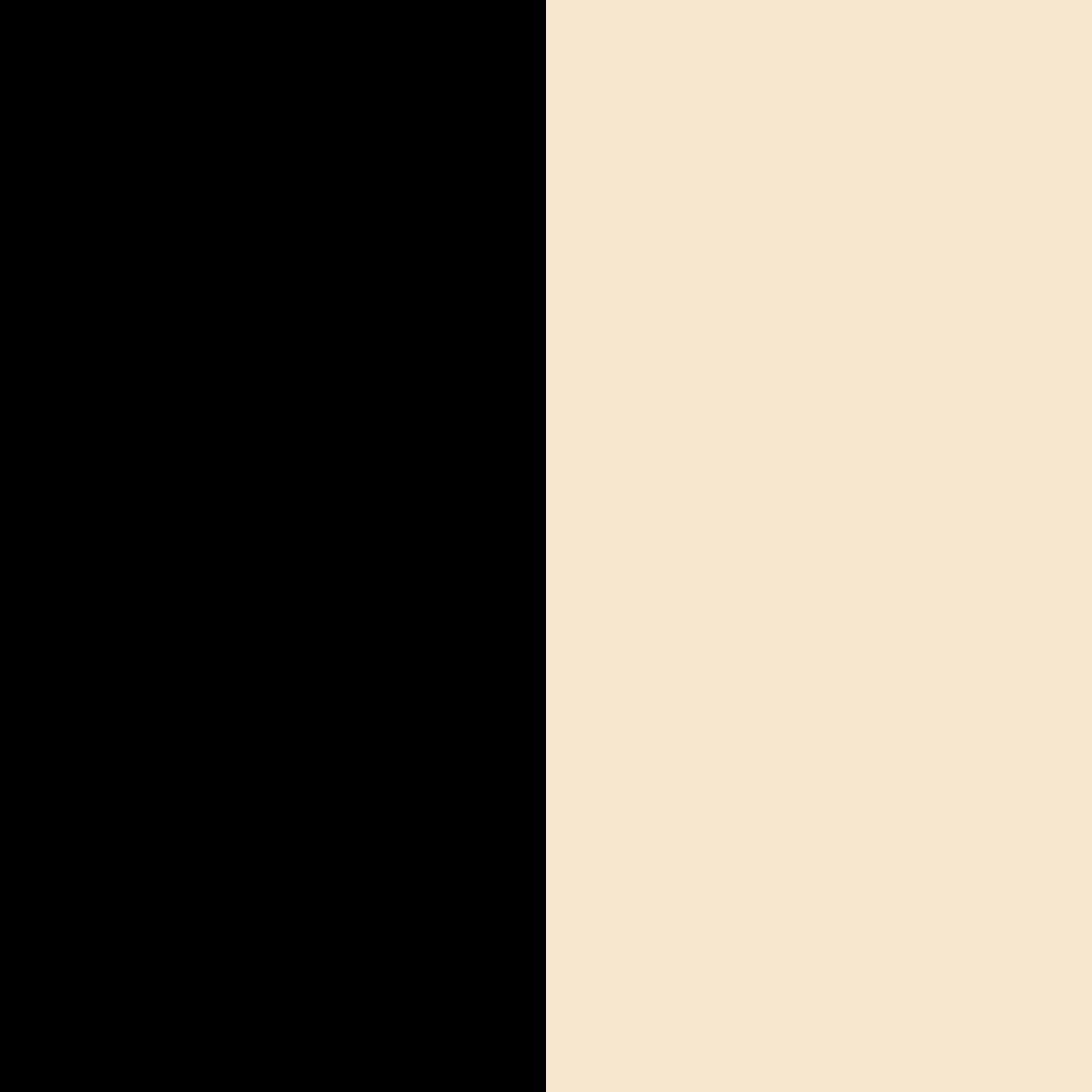 schwarz/champagner