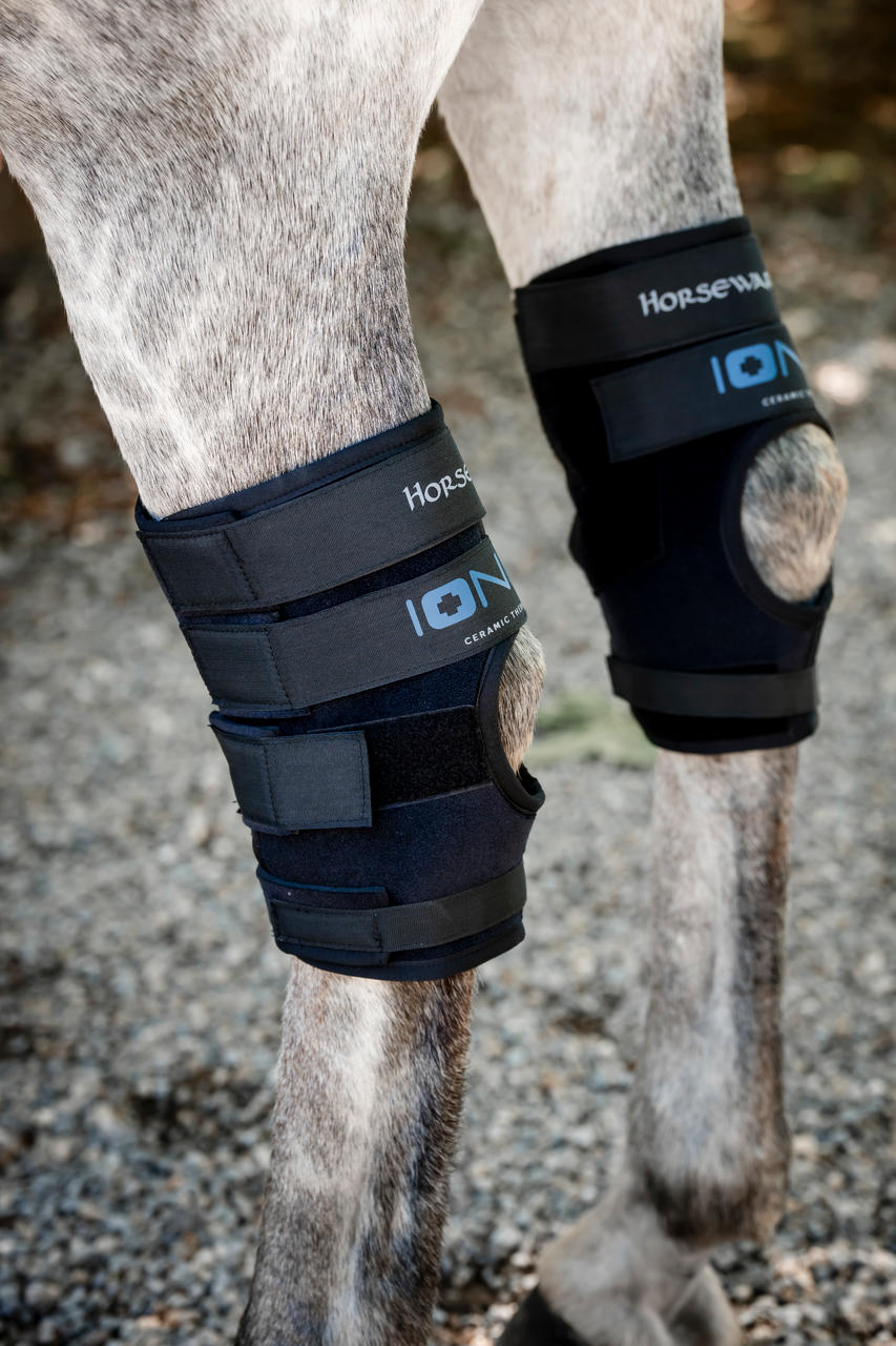 Horseware Ionic Hock Boots Horseware Ionic Hock Boots