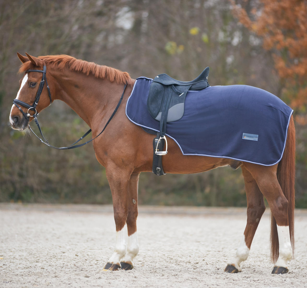 Waldhausen Fleece-Ausreitdecke Economic Waldhausen Fleece-Ausreitdecke Economic