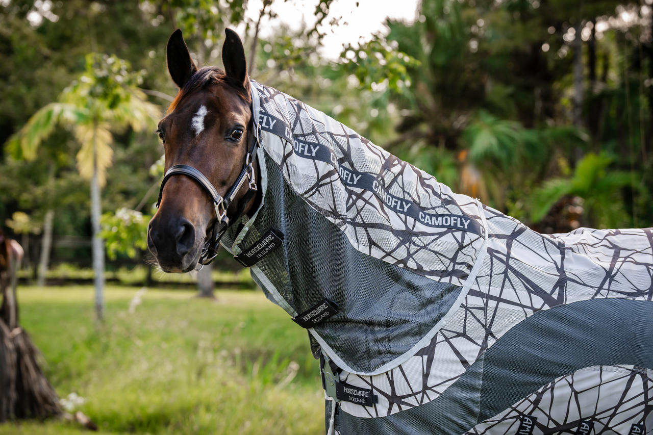 Horseware Amigo CamoFly Plus