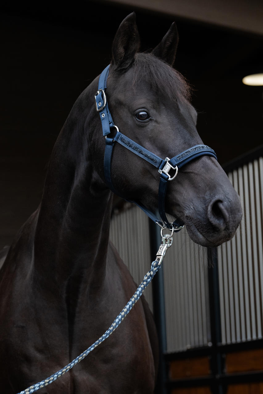Eskadron Halfter MATTGLOSS JEWEL DOUBLE PIN