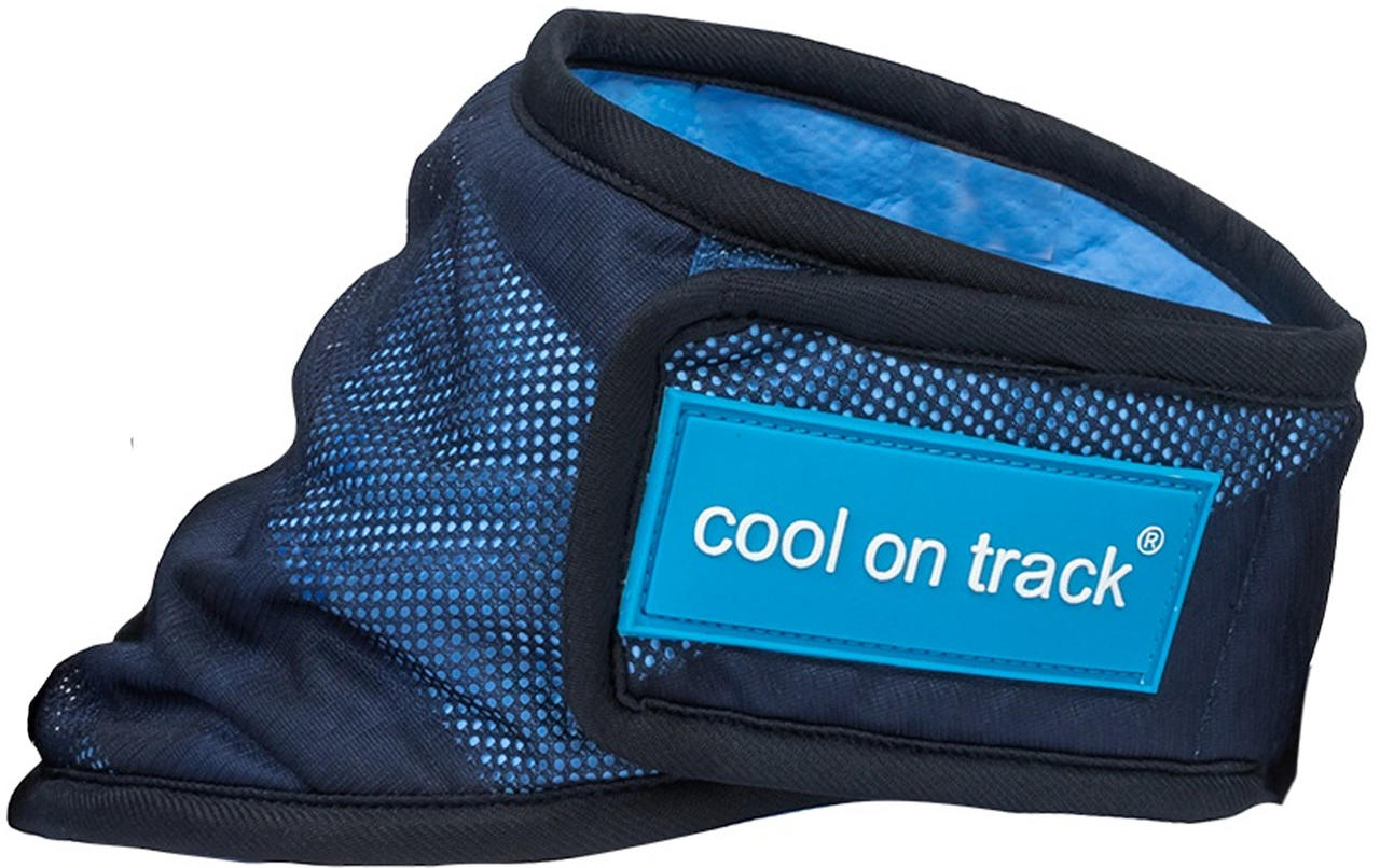 Cool on Track Cooling Bandana L blau