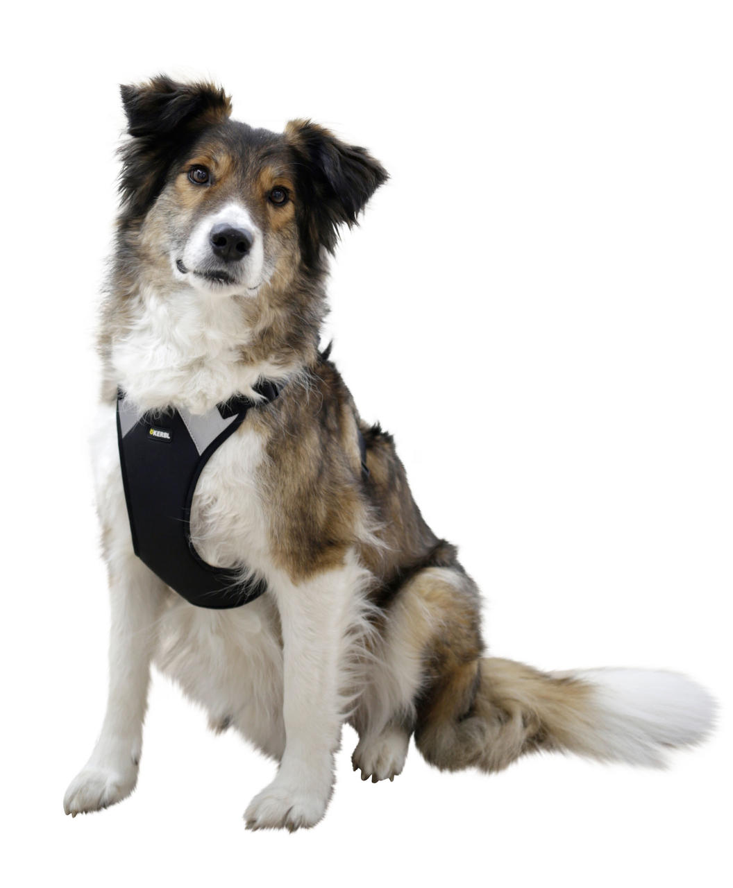 Kerbl Hundegeschirr Pulsive