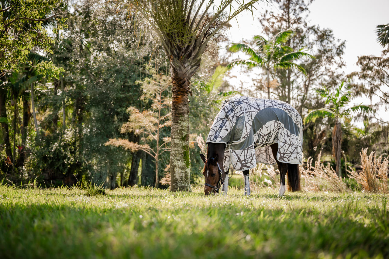 Horseware Amigo CamoFly Plus