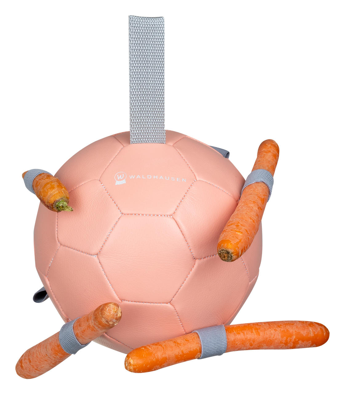 Waldhausen Karottenball linnea pink