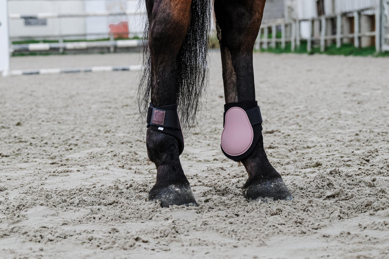 Equithème Tara Streichkappen
