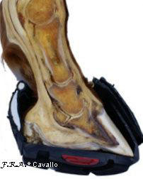 Cavallo Hufschuhe Trek Regular