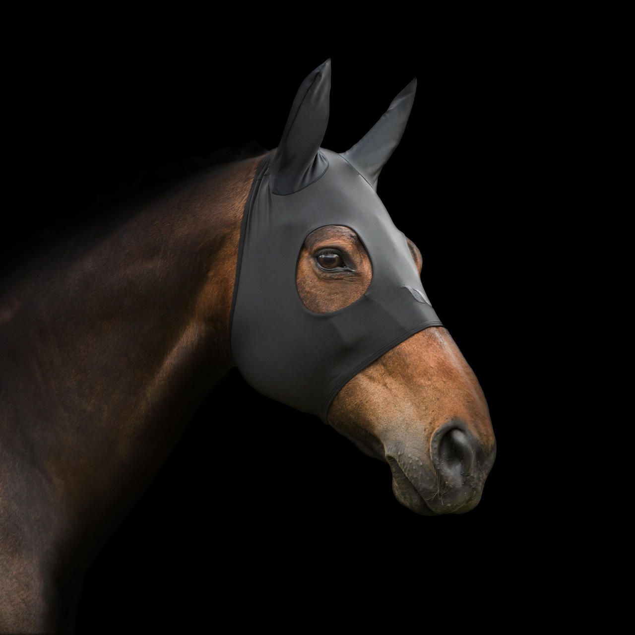 Back on Track "Spirit" Calming Maske mit Ohren