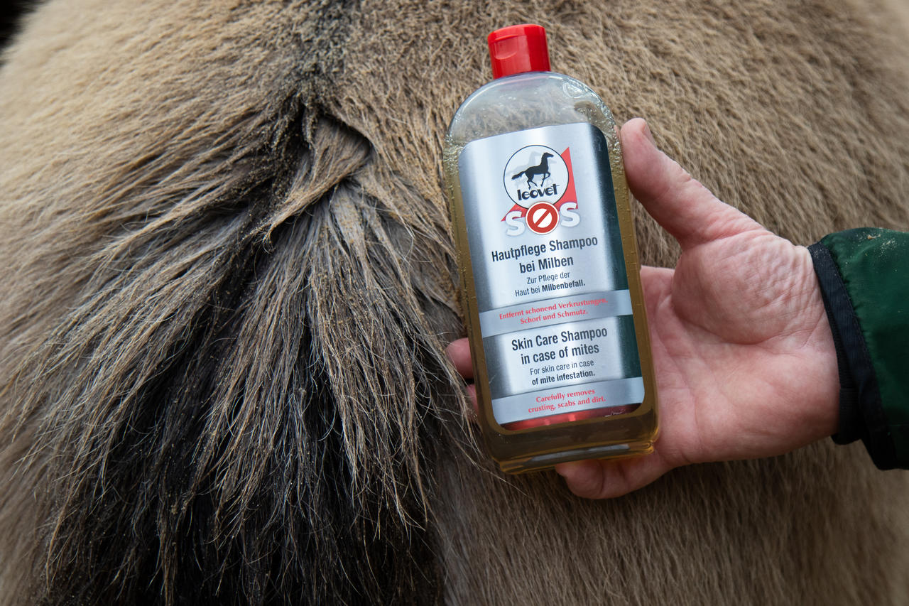 leovet SOS Hautpflege Shampoo