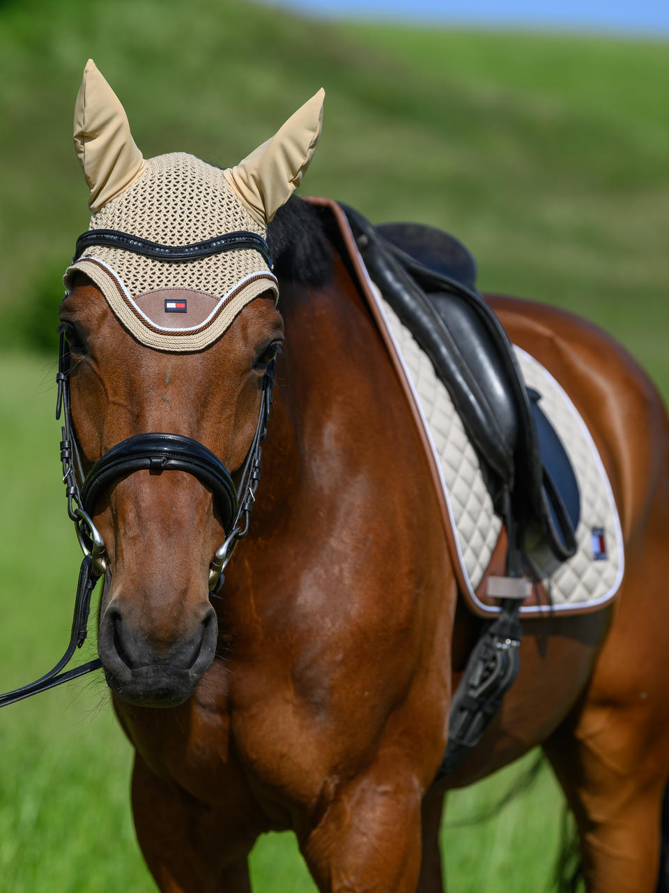 Tommy Hilfiger Princeton Fliegenhaube