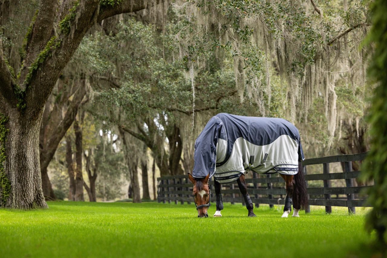 LeMieux Arika Shower-Tek Fly Rug
