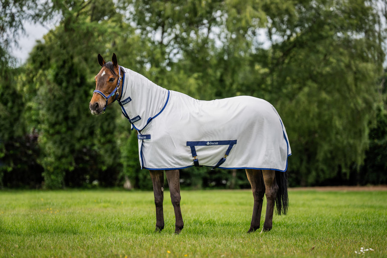 Bucas Freedom Fly Sheet Full Neck
