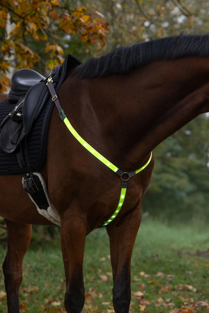 Covalliero Vorderzeug LED