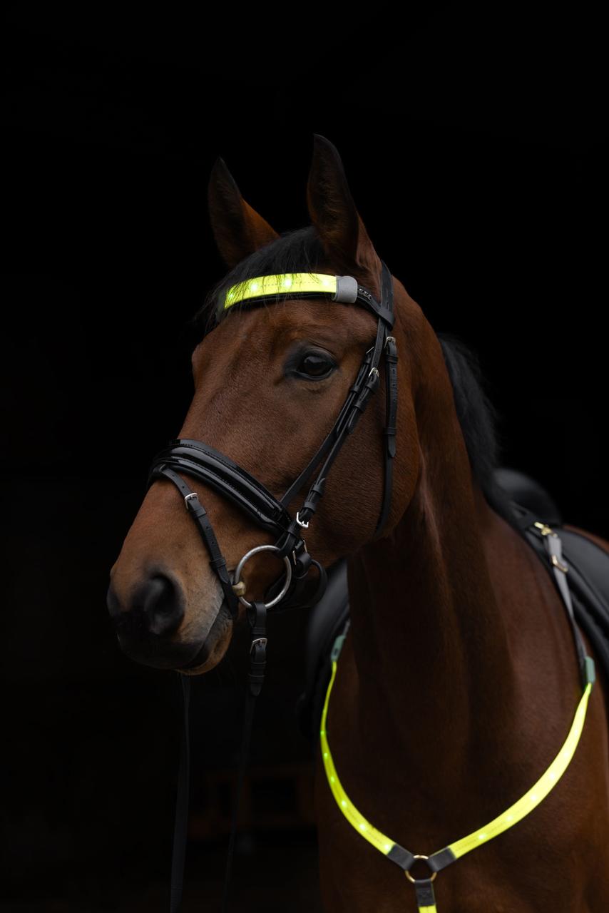 Covalliero Stirnriemen LED