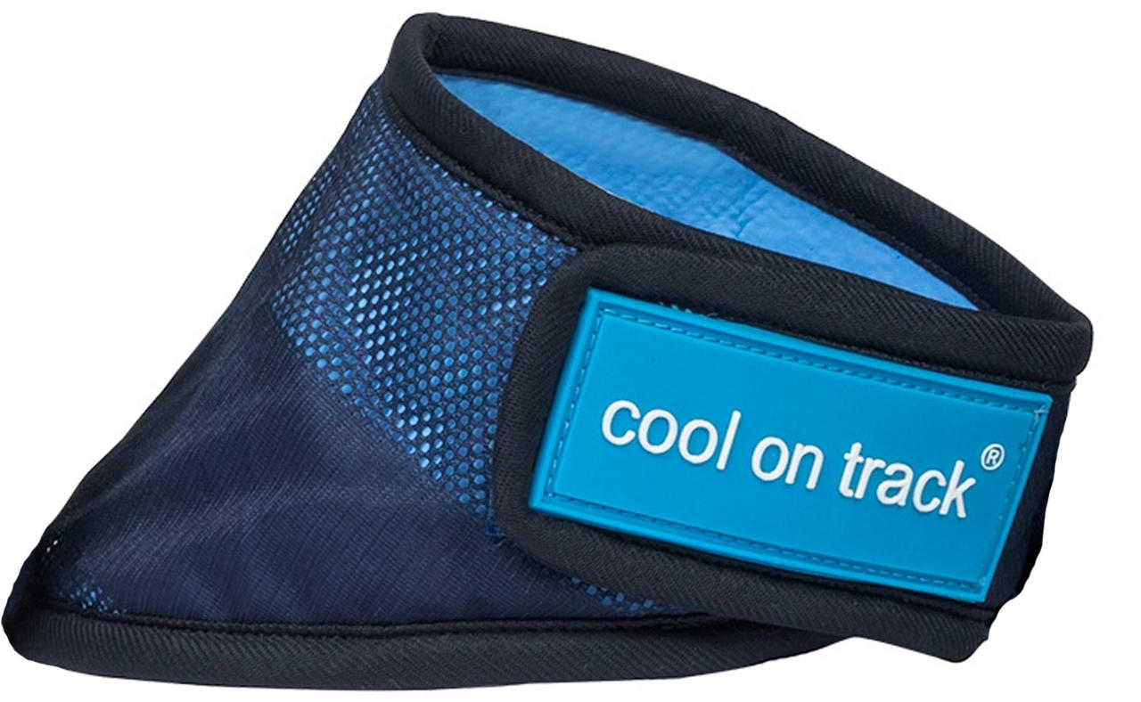 Cool on Track Cooling Bandana M blau