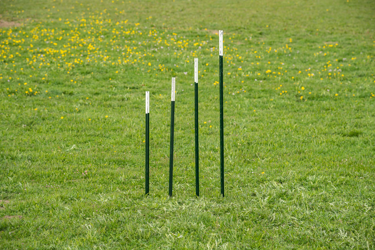 AKO T-Pfosten - 213 cm, Zaunhöhe: 173 cm