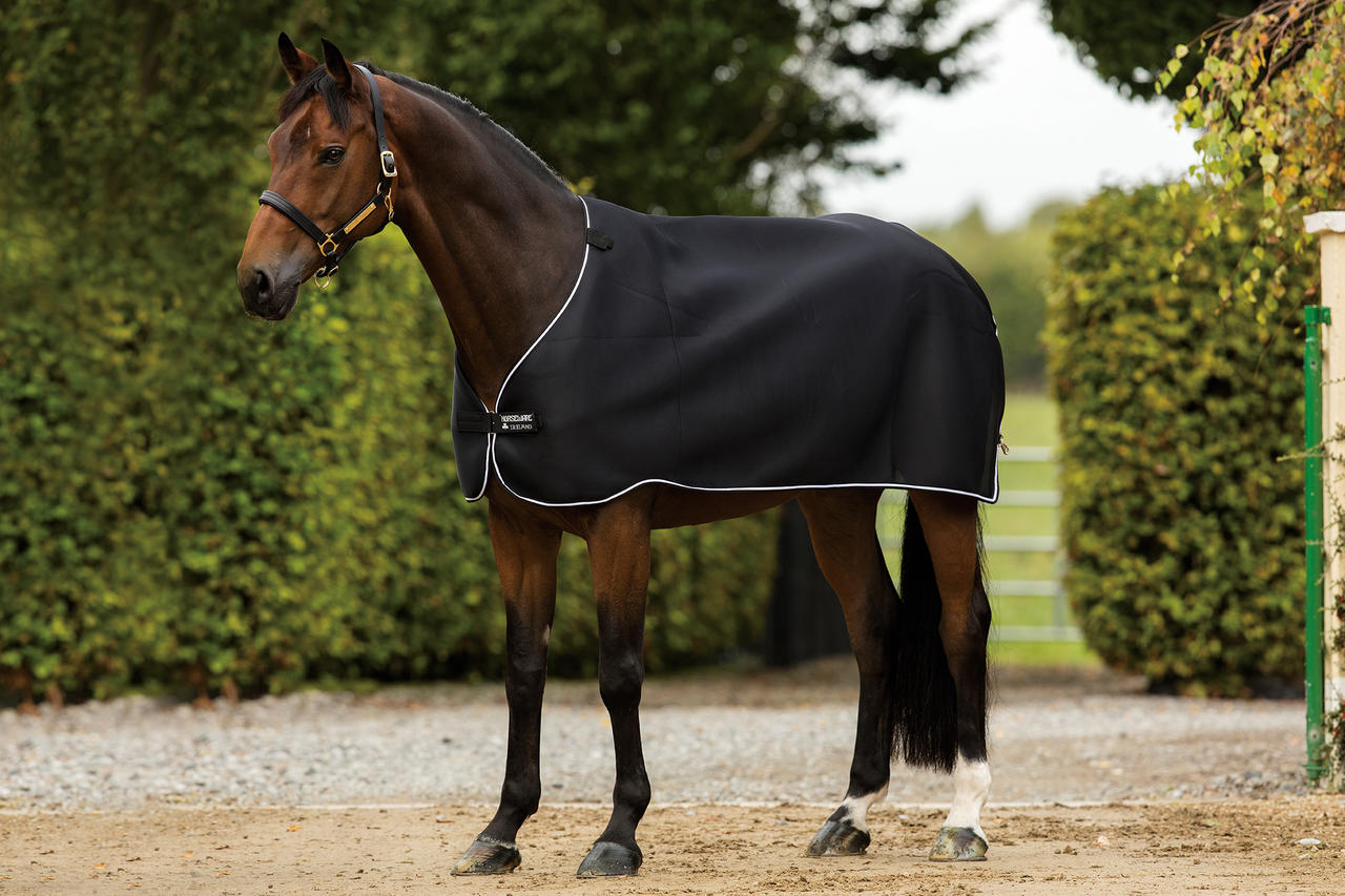 Horseware Deckengröße:140 cm / 6´3 : : Prodotti per animali domestici Horseware Deckengröße:140 cm / 6´3 : : Prodotti per animali domestici