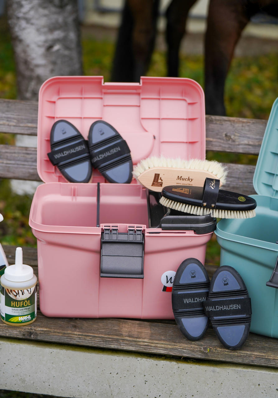 Waldhausen Putzbox ECO