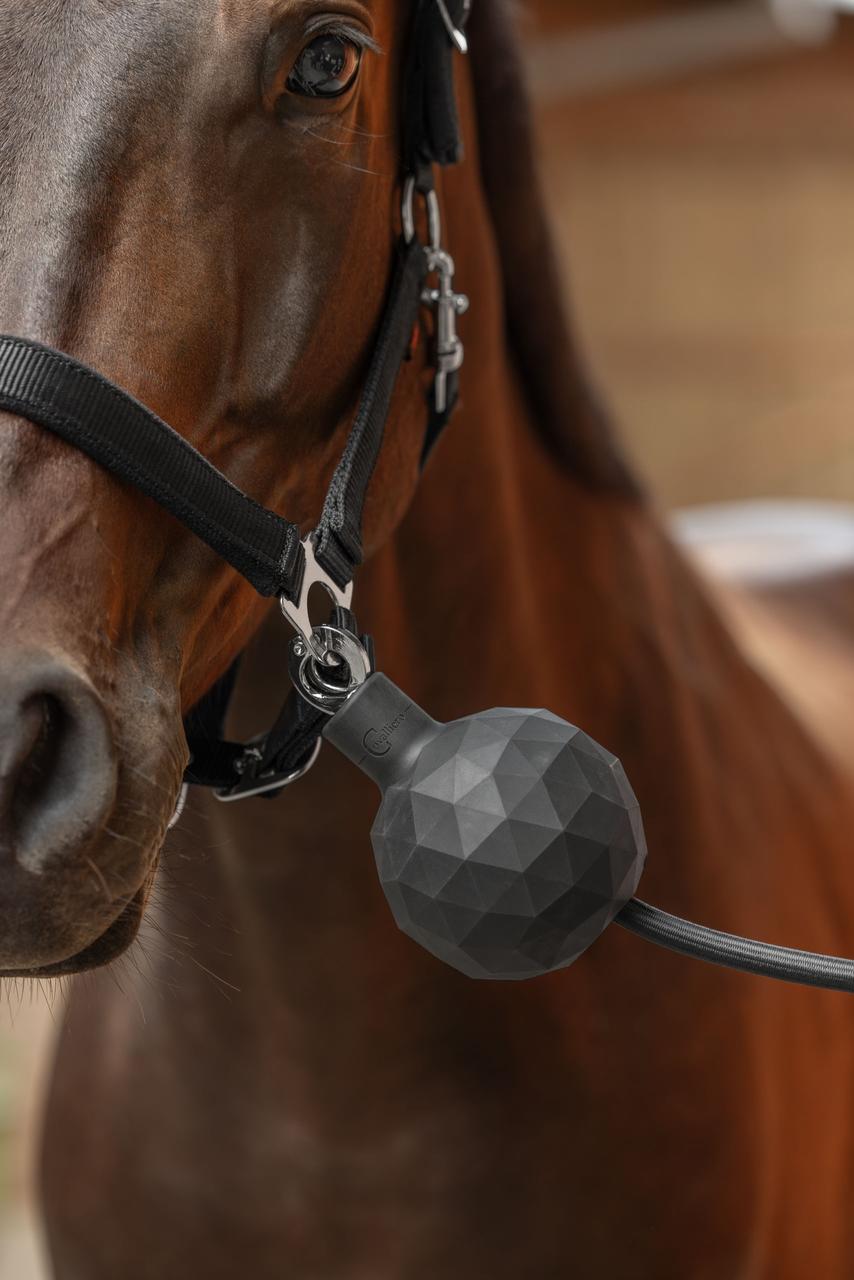 Covalliero Anbindeschutz Gummiball