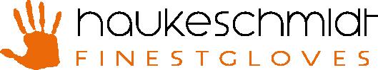 Logo_haukeschmidt_komplett