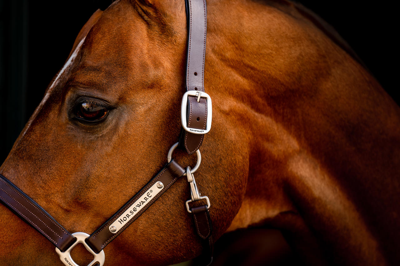 Horseware Signature Leather Headcollar