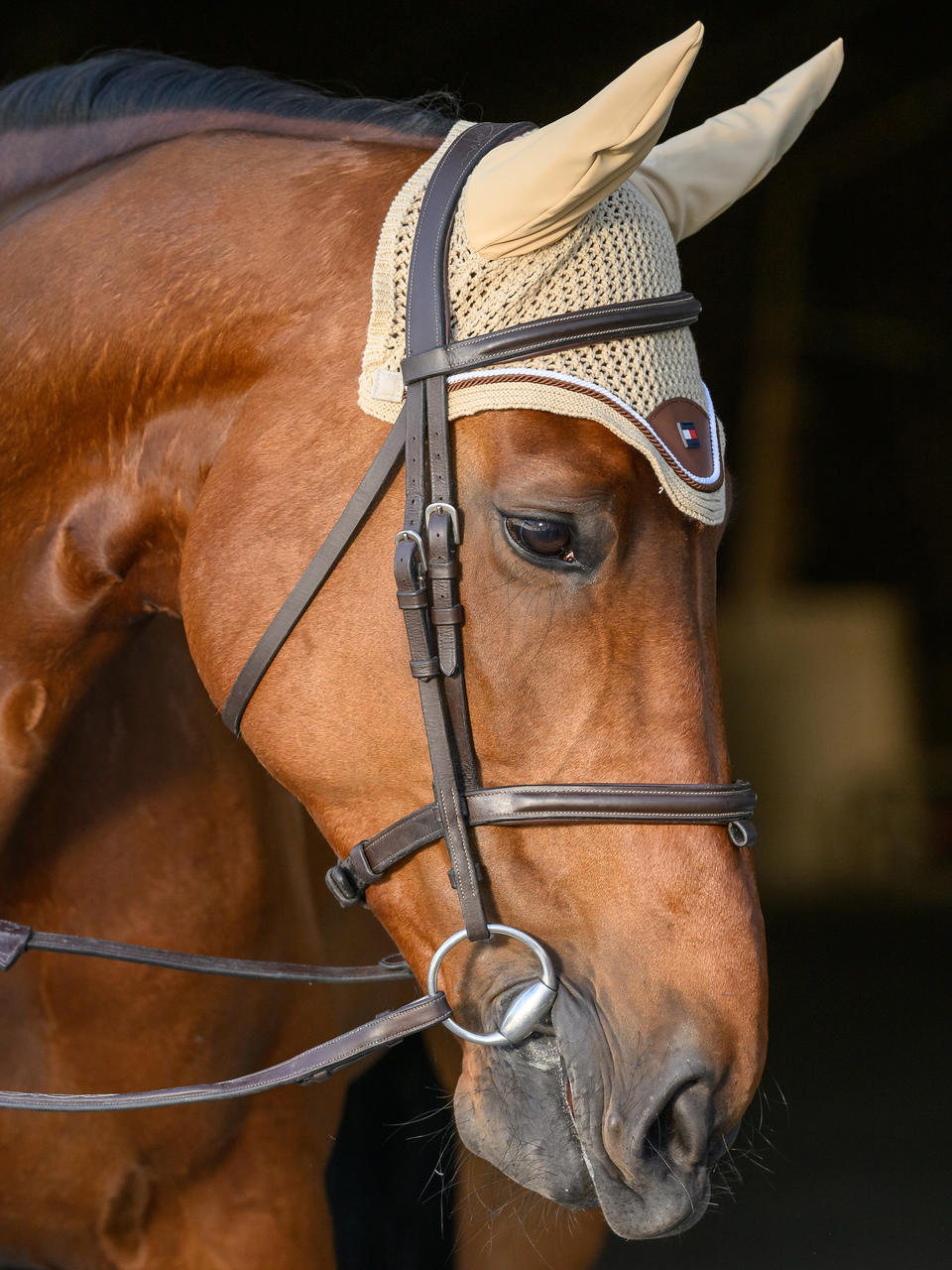 Tommy Hilfiger Princeton Fliegenhaube