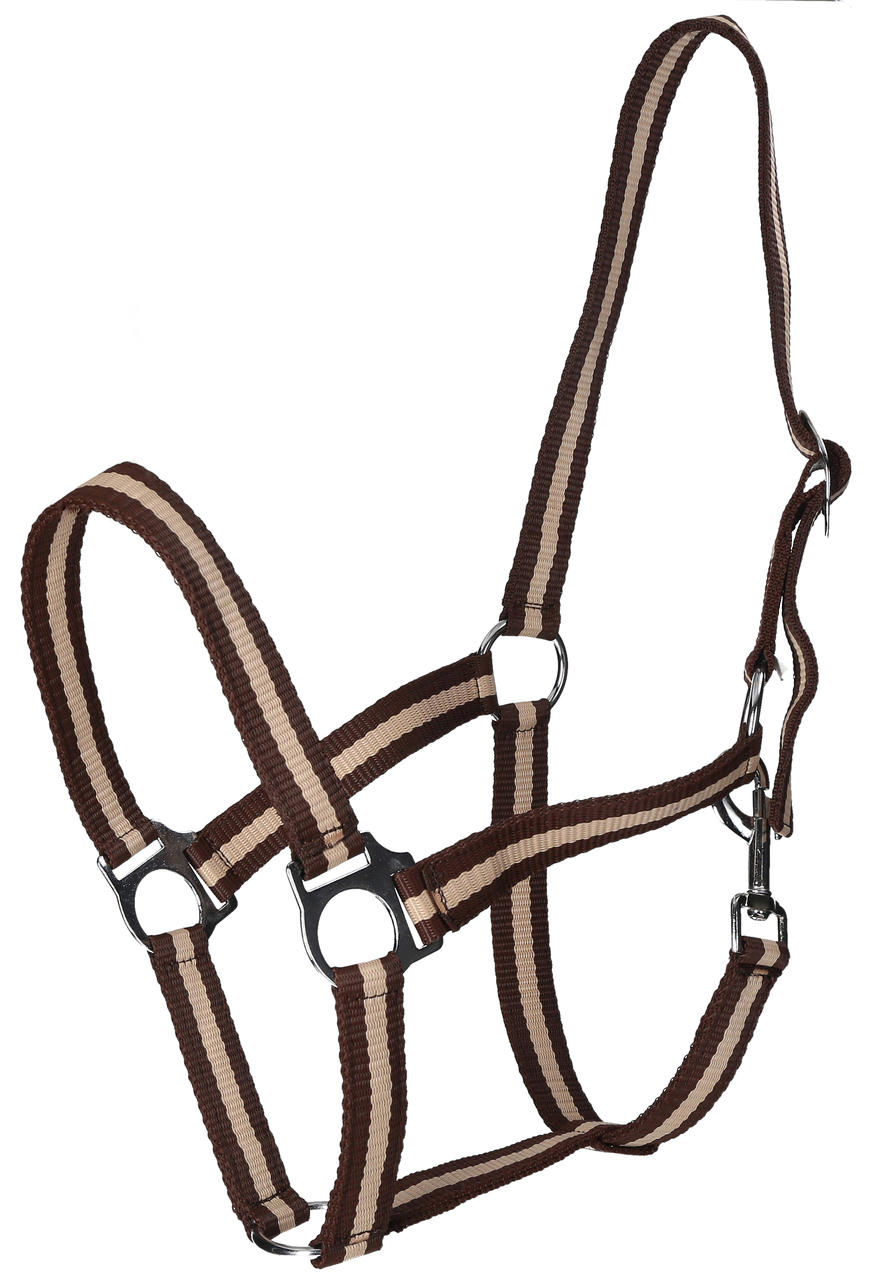 WAHL-Hausmarke HoldMe Halfter Cob = Vollblut dkl.braun/beige