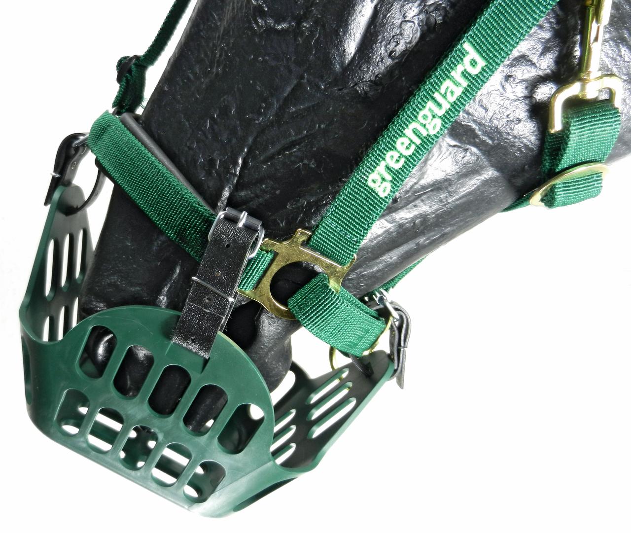 greenguard Maulkorb Fressbremse