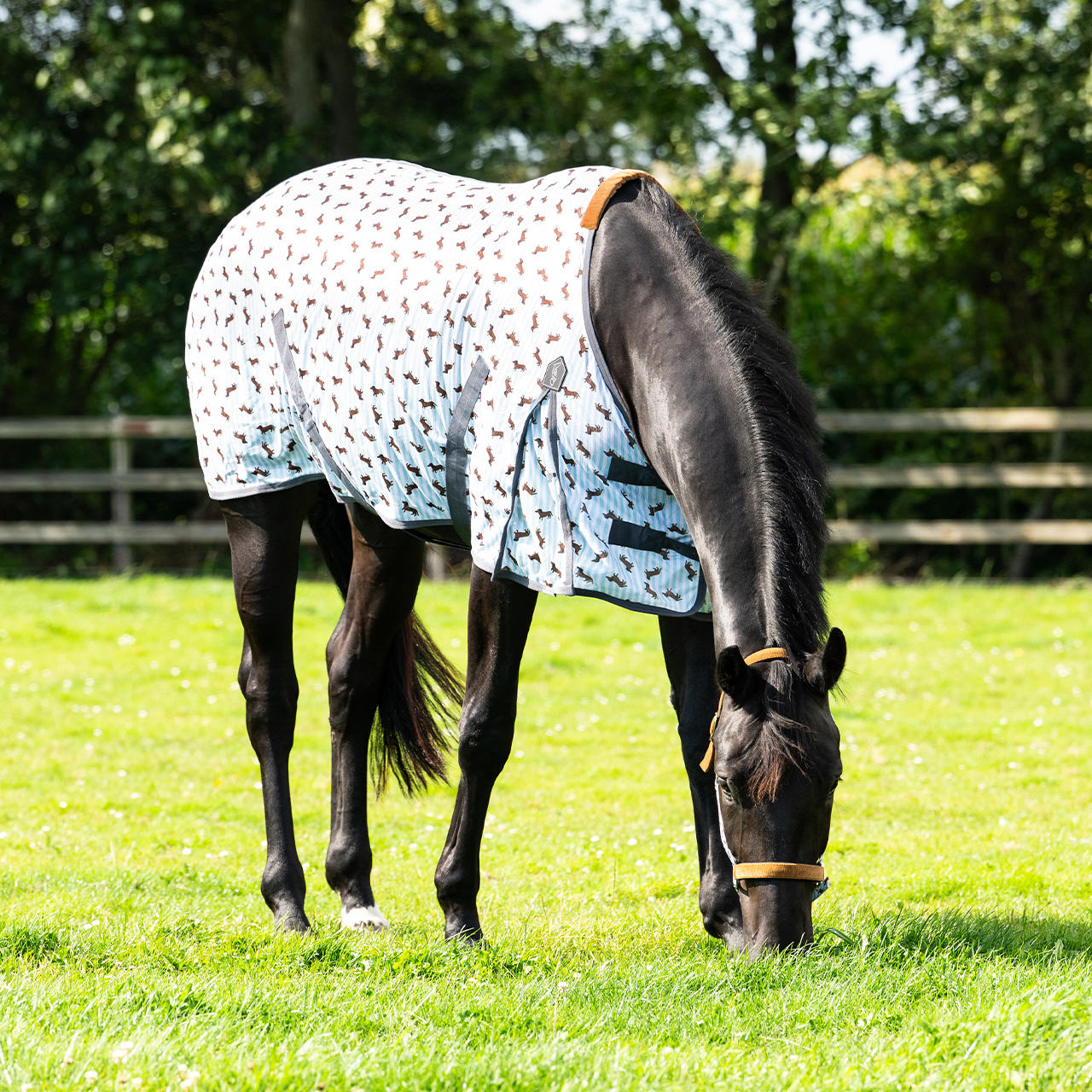 QHP Fliegendecke Stable Buddy