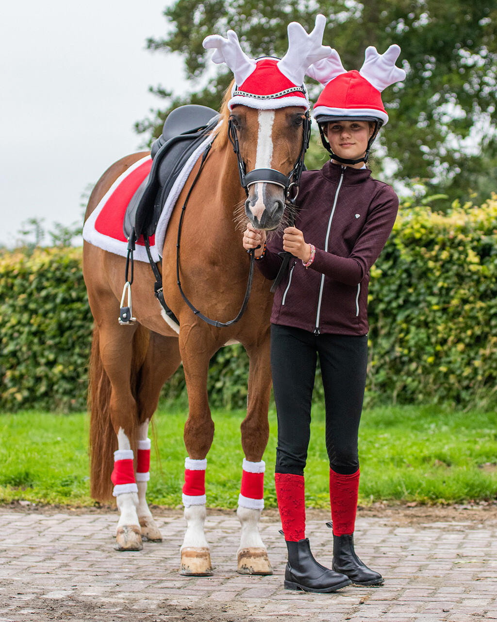 QHP Rentier Haube