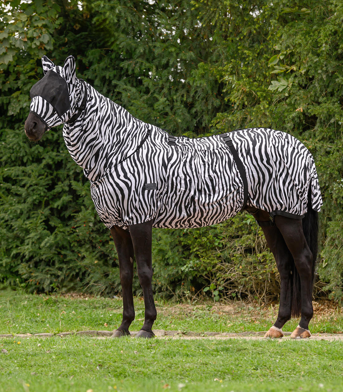Waldhausen Ekzemerdecke Zebra Premium Waldhausen Ekzemerdecke Zebra Premium