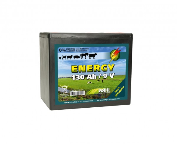 WAHL-Hausmarke Weidezaunbatterie 9 V - 130 Ah